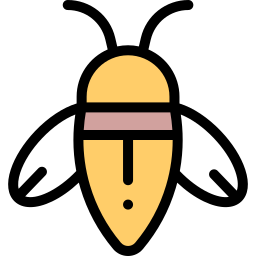 Cicada icon