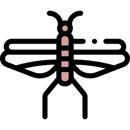 Locust icon