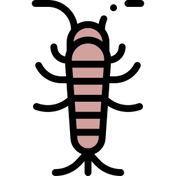 シルバーフィッシュ icon