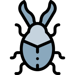 Beetle icon