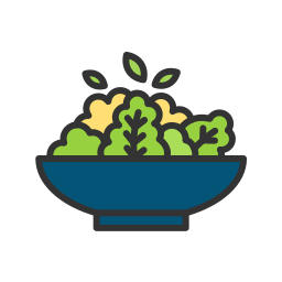 Salad icon