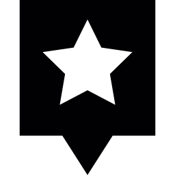 szpilka z gwiazdą ikona
