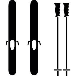 Лыжные палки иконка