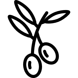 枝上のオリーブ icon