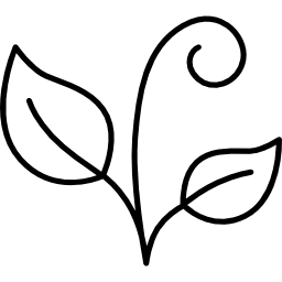 roślina z dwa liśćmi ikona