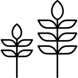 zwei pflanzen icon