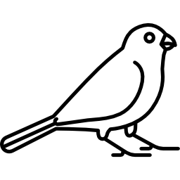 右を向いている鳥 icon