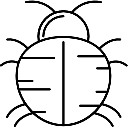 gros bug Icône