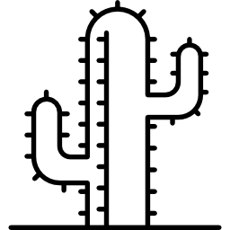 duży kaktus ikona