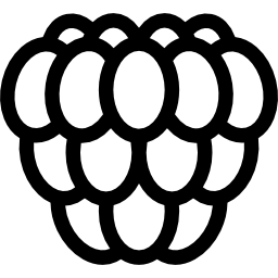 Big Raspberry icon