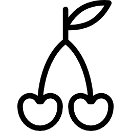 두 체리 icon