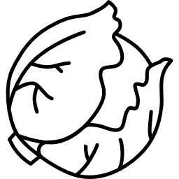 큰 양배추 icon