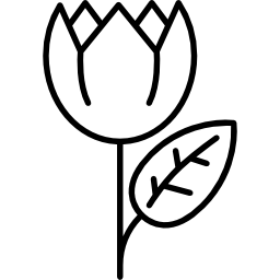 grande fleur avec feuille Icône