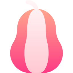 butternut-pompoen icoon