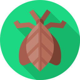 Leaf insect icon
