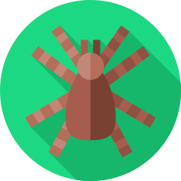 타란툴라 거미 icon