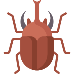 Rhinoceros beetle icon