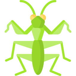 Mantis icon