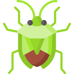 Вонючий жук иконка