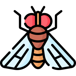 Плодовая муха иконка
