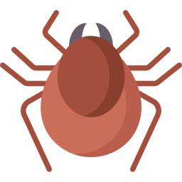 tick icon