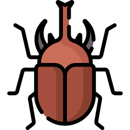 scarabée rhinocéros Icône