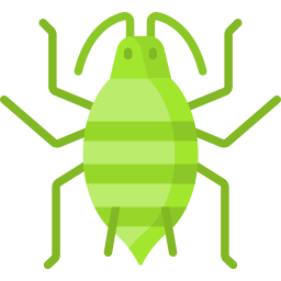 진딧물 icon