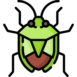 Stink bug icon