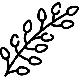 salice icona