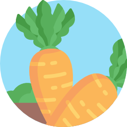 Carrot icon