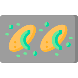 avocado icon