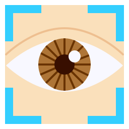 escáner ocular icono