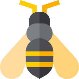 Wasp icon