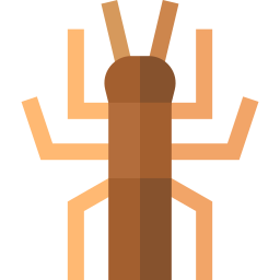 Stick insect icon