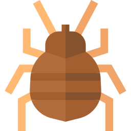 Bedbug icon