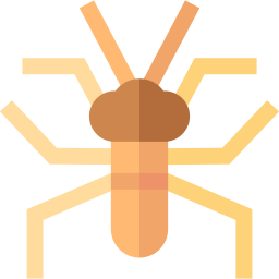 gerridae ikona