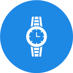 Wristwatch icon