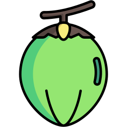 kokosnuss icon