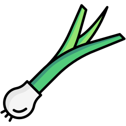 Spring onion icon