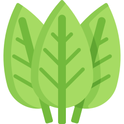 les feuilles de coca Icône