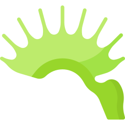Venus flytrap icon