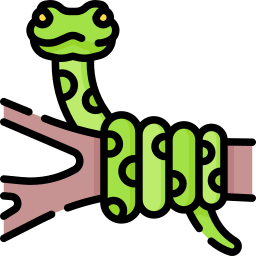 serpiente icono