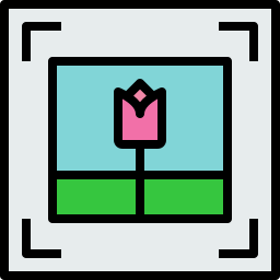 fokus icon