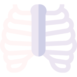 gabbia toracica icona