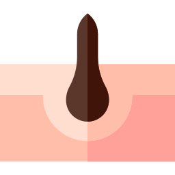 모낭 icon