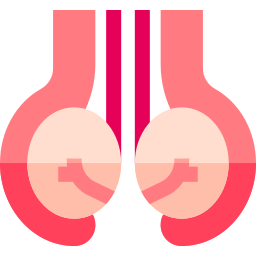 testicules Icône