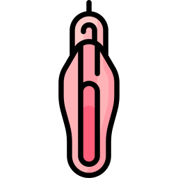 vagina icoon
