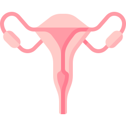 Uterus icon