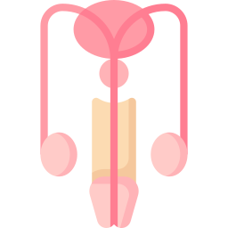 생식 기관 icon