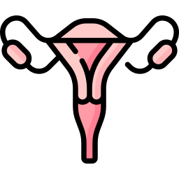 Uterus icon